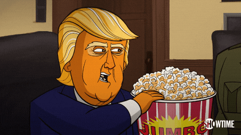 Donald Trump GIF by Our Cartoon President