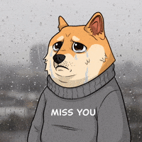 Sad Miss You GIF by Doge Pound
