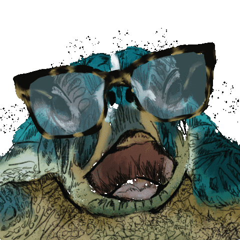 Glasses Turtle Sticker