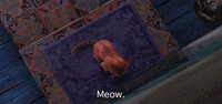 Trust Me Love GIF by Puss In Boots