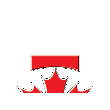 Tint Sticker by STC FILMS