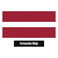 Latvia Flag Sticker by Formación Ninja