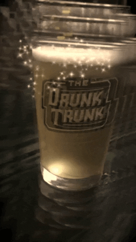 thedrunktrunk giphygifmaker giphyattribution beer drunk GIF