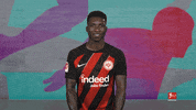 Eintracht Frankfurt GIF by Bundesliga
