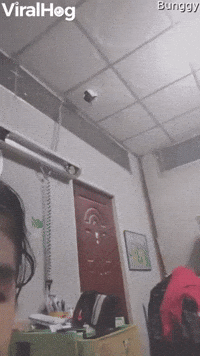Cat Descends From Ceiling Hole