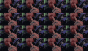 Multi GIF