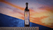 Fun Serve GIF by Milagro Tequila