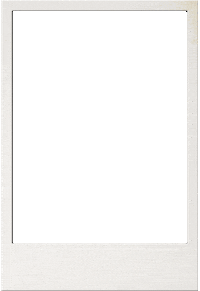 Ehfeuro2020 Sticker by EHF