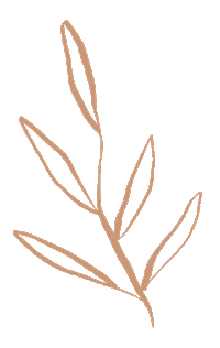 Shopliv3 plant leaf modern liv3 Sticker
