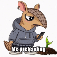 GIF by Chillo Dillo
