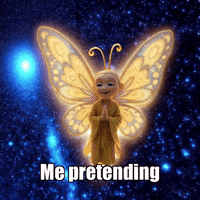 GIF by BuddhaFlyJourney