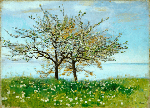 GIF by MAH Genève