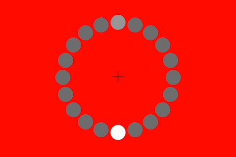 730ae70974b043d69da0ba86ee1e4ad4 giphyupload GIF