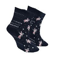 RoiSocks socks sock uzay uzaylı Sticker