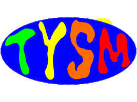 Thank You So Much Thanks Sticker by Holly Simple