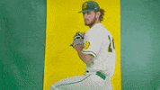 Ndsu Baseball GIF by NDSU Athletics