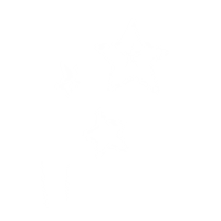 Star Sticker