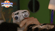 socks popcorn GIF by Garbaim