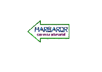 neon arrow Sticker by Cerveza Harbardr