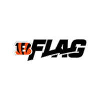 Nflflagbangels Sticker by Yonkers Force Football