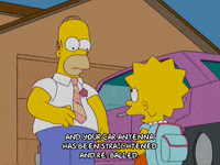 homer simpson episode 6 GIF