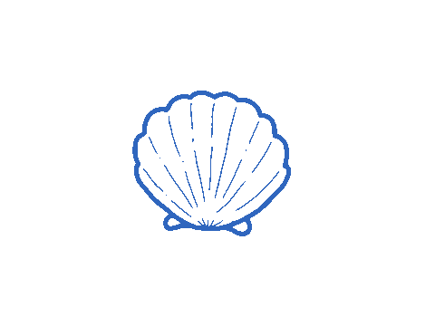 Muschel Sticker by Lisawebdesign