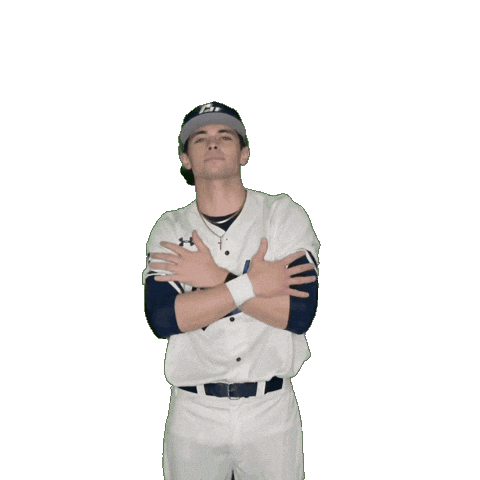 Clarke Baseball Sticker by Clarke University