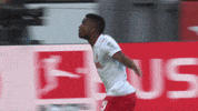 1 Fc Cologne Football GIF by 1. FC Köln