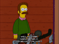 stealing season 13 GIF