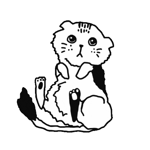 Cat What Sticker