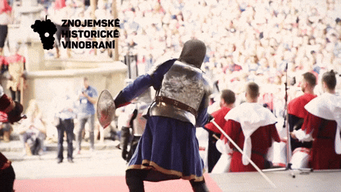 Fight History GIF by Znojemská Beseda