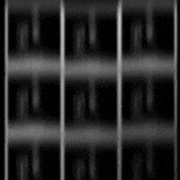 Trap Alabama GIF by New 11