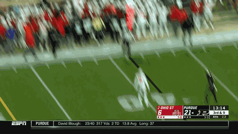 ohio state football GIF