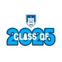 Knights Newburgh Sticker by Mount Saint Mary College