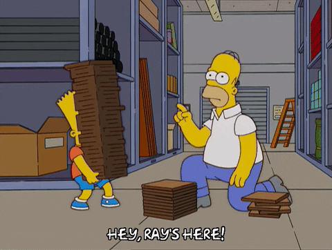homer simpson ray GIF