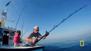 wicked tuna GIF by National Geographic Channel