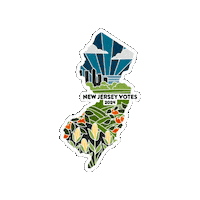 Vote100 Voting Sticker by Princeton University