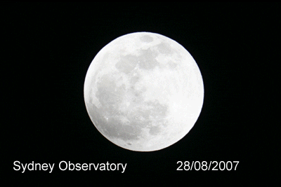 7NEWSAustralia giphyupload GIF