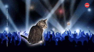 Just Cat Dance