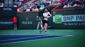andy murray tennis GIF