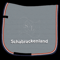 schabrackenland schabrackenland GIF