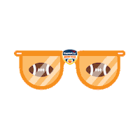 orange bowl football Sticker by Capital One