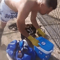Summer Refreshing GIF by Feel So Good Water