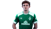 goal bundesliga Sticker by SV Werder Bremen