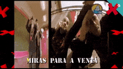 Venta Mirar GIF by TVGalicia