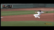 High Five Baseball GIF by Salt Lake Bees