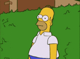 The Simpsons gif. Wide eyed Homer Simpson backs up into a bush and gets absorbed by it, disappearing.