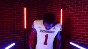 Football Celebration GIF by Richmond Spiders