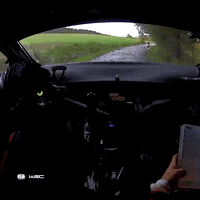 Car Crash GIF by FIA World Rally Championship