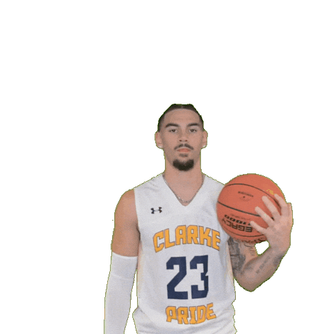 Mens Basketball Sticker by Clarke University